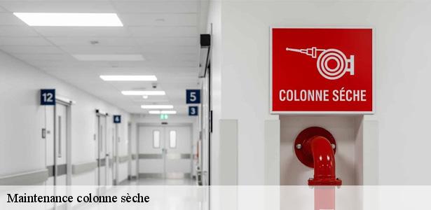 expert-en-maintenance-colonne-seche-sainte-genevieve-des-bois-91700-6