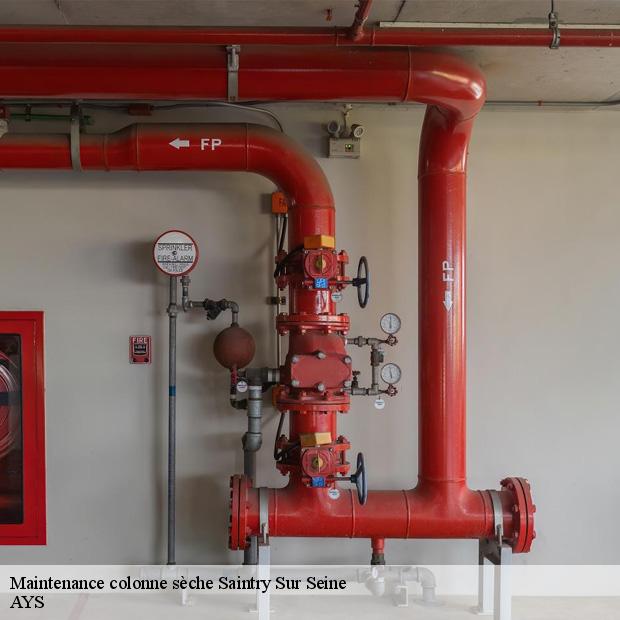 expert-en-maintenance-colonne-seche-saintry-sur-seine-91250-1