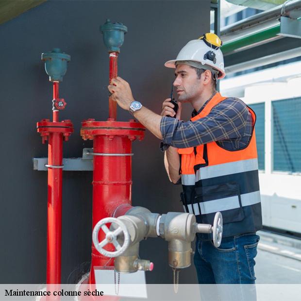 expert-en-maintenance-colonne-seche-villabe-91100-3