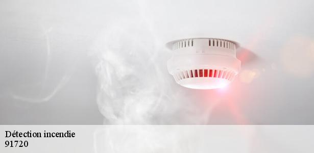 specialiste-en-detection-incendie-boigneville-91720-5