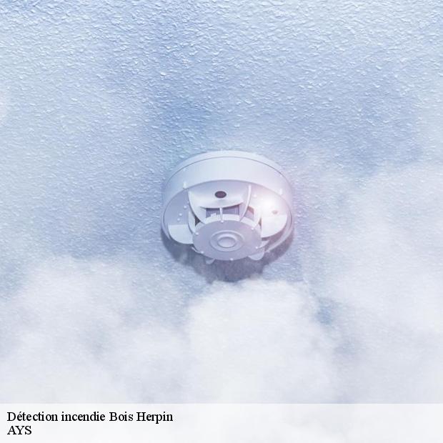specialiste-en-detection-incendie-bois-herpin-91150-1