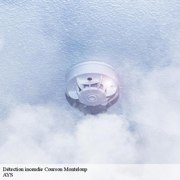 specialiste-en-detection-incendie-courson-monteloup-91680-1