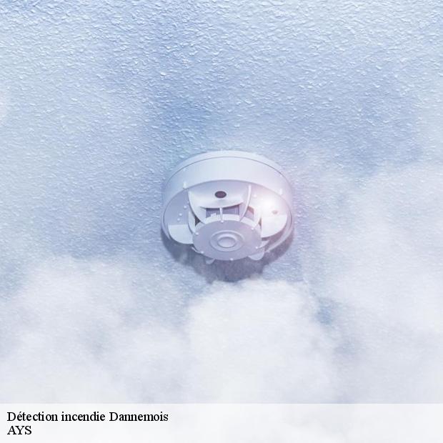 specialiste-en-detection-incendie-dannemois-91490-1