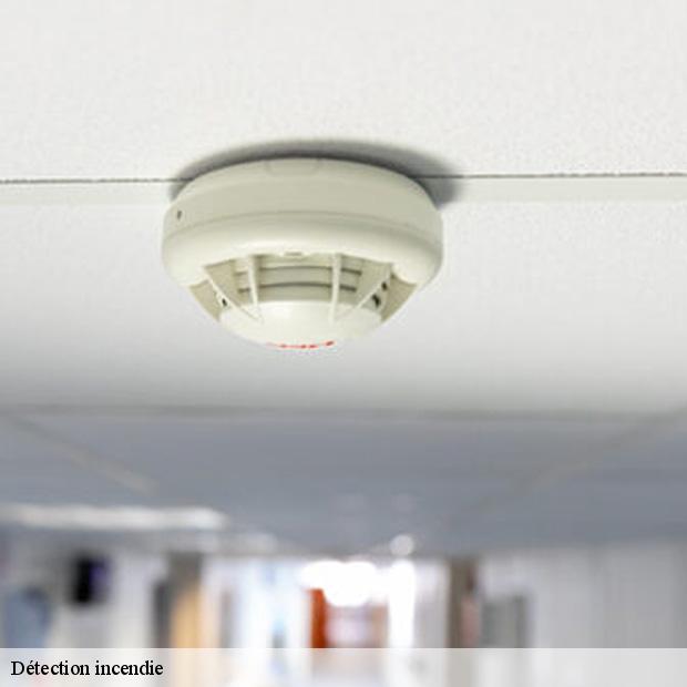 specialiste-en-detection-incendie-saint-cyr-sous-dourdan-91410-3
