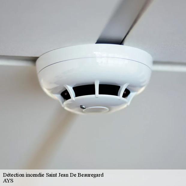 specialiste-en-detection-incendie-saint-jean-de-beauregard-91940-7