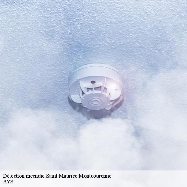 specialiste-en-detection-incendie-saint-maurice-montcouronne-91530-1