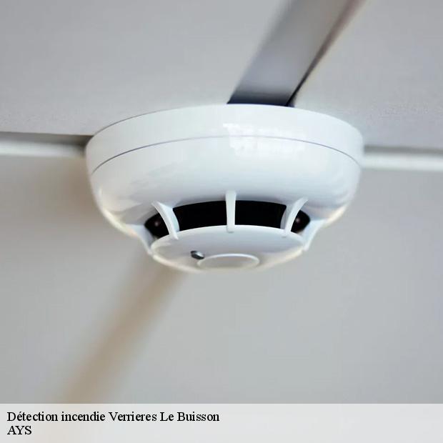 specialiste-en-detection-incendie-verrieres-le-buisson-91370-7