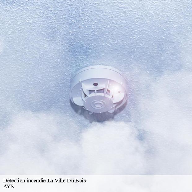 specialiste-en-detection-incendie-la-ville-du-bois-91620-1