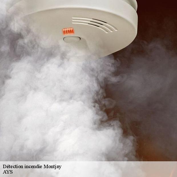 specialiste-en-detection-incendie-montjay-91440-4