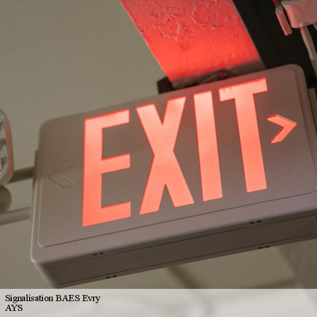 societe-pour-signalisation-baes-evry-91000-4