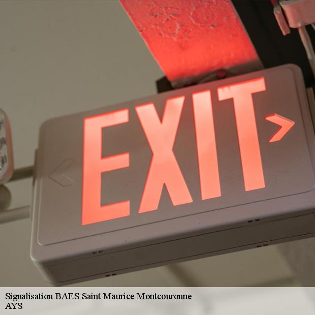 societe-pour-signalisation-baes-saint-maurice-montcouronne-91530-4