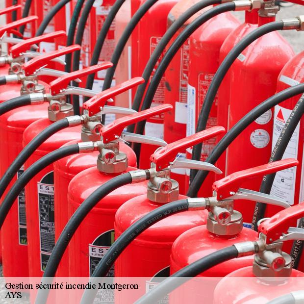 service-de-gestion-securite-incendie-montgeron-91230-1