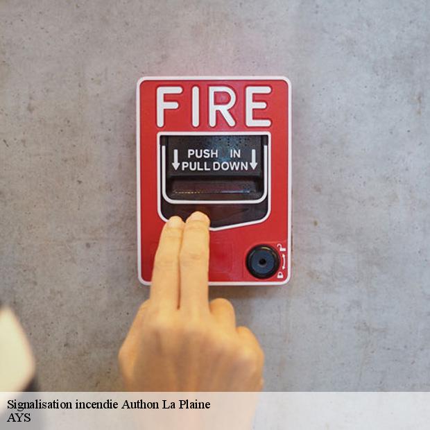 specialiste-en-signalisation-incendie-authon-la-plaine-91410-7