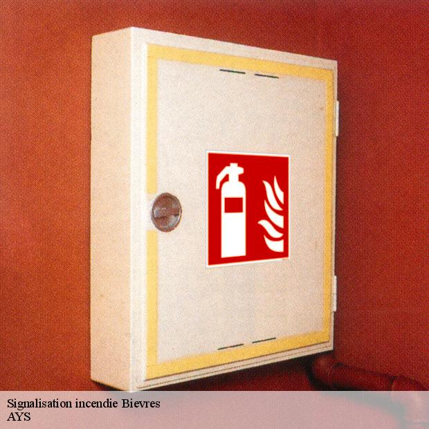 specialiste-en-signalisation-incendie-bievres-91570-1