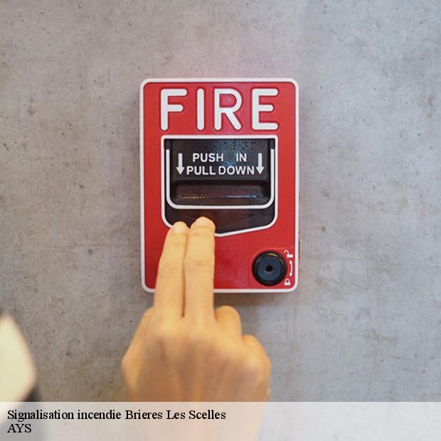 specialiste-en-signalisation-incendie-brieres-les-scelles-91150-7