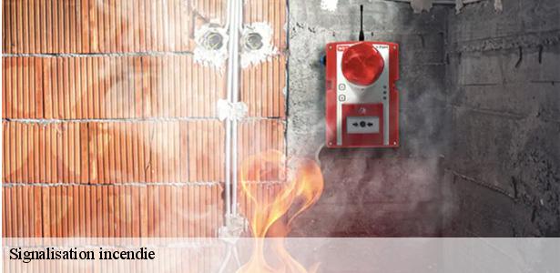 specialiste-en-signalisation-incendie-chalou-moulineux-91740-6