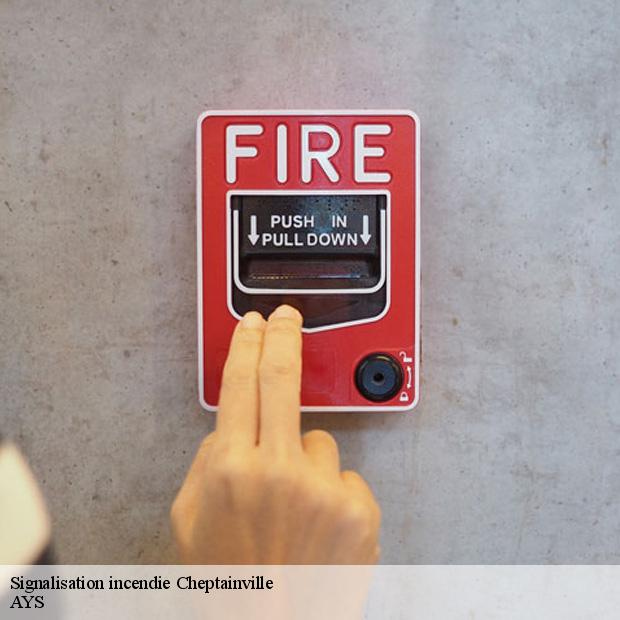 specialiste-en-signalisation-incendie-cheptainville-91630-7