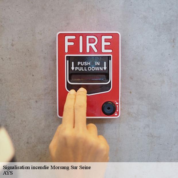 specialiste-en-signalisation-incendie-morsang-sur-seine-91250-7