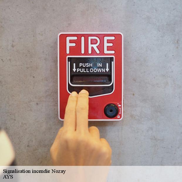 specialiste-en-signalisation-incendie-nozay-91620-7