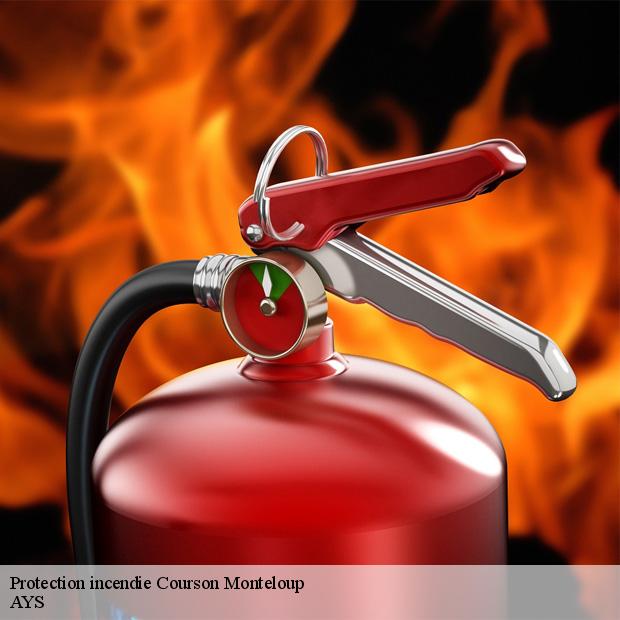 professionnel-en-protection-incendie-courson-monteloup-91680-4
