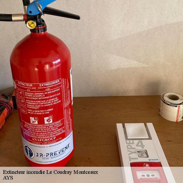 extincteur-incendie-professionnel-le-coudray-montceaux-91830-7
