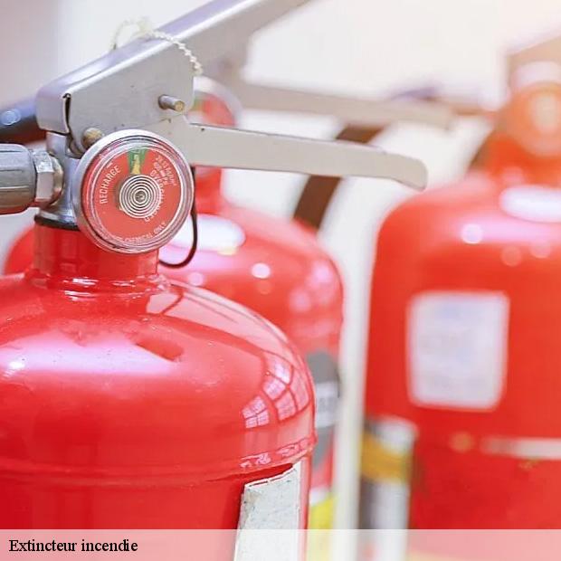 extincteur-incendie-professionnel-la-ferte-alais-91590-3
