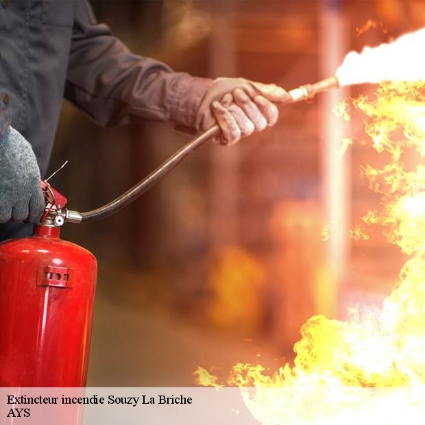 extincteur-incendie-professionnel-souzy-la-briche-91580-4